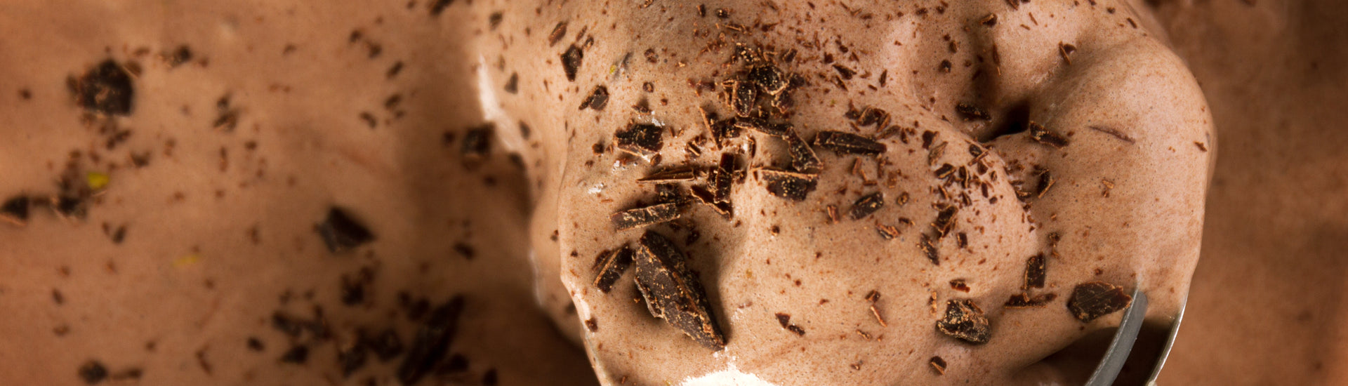 Indulgent Chocolate Cashew Ice Cream