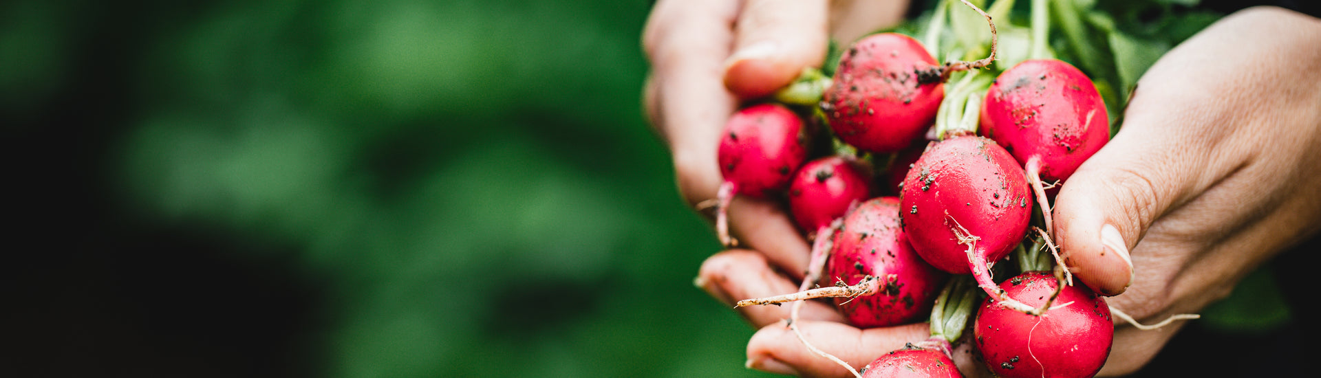 Nutrition - Back to basics