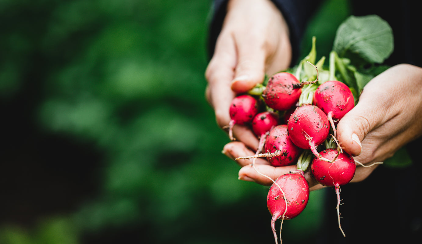 Nutrition - Back to basics