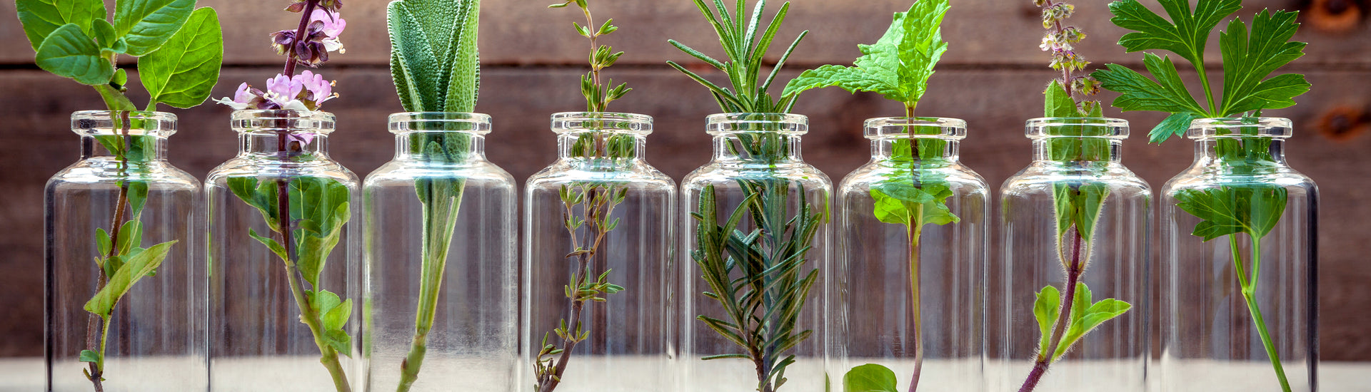 A herbal medicine cabinet