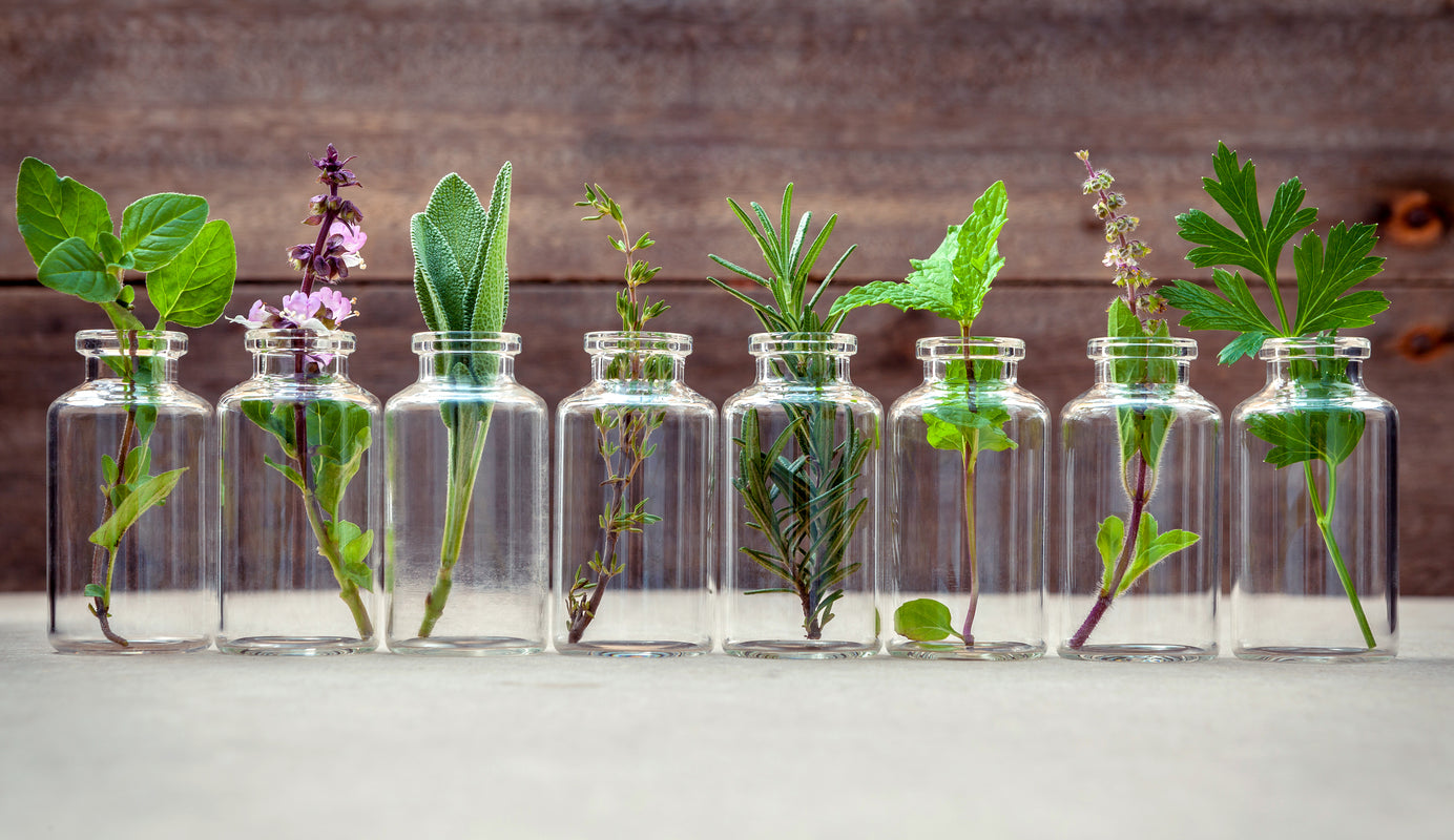 A herbal medicine cabinet