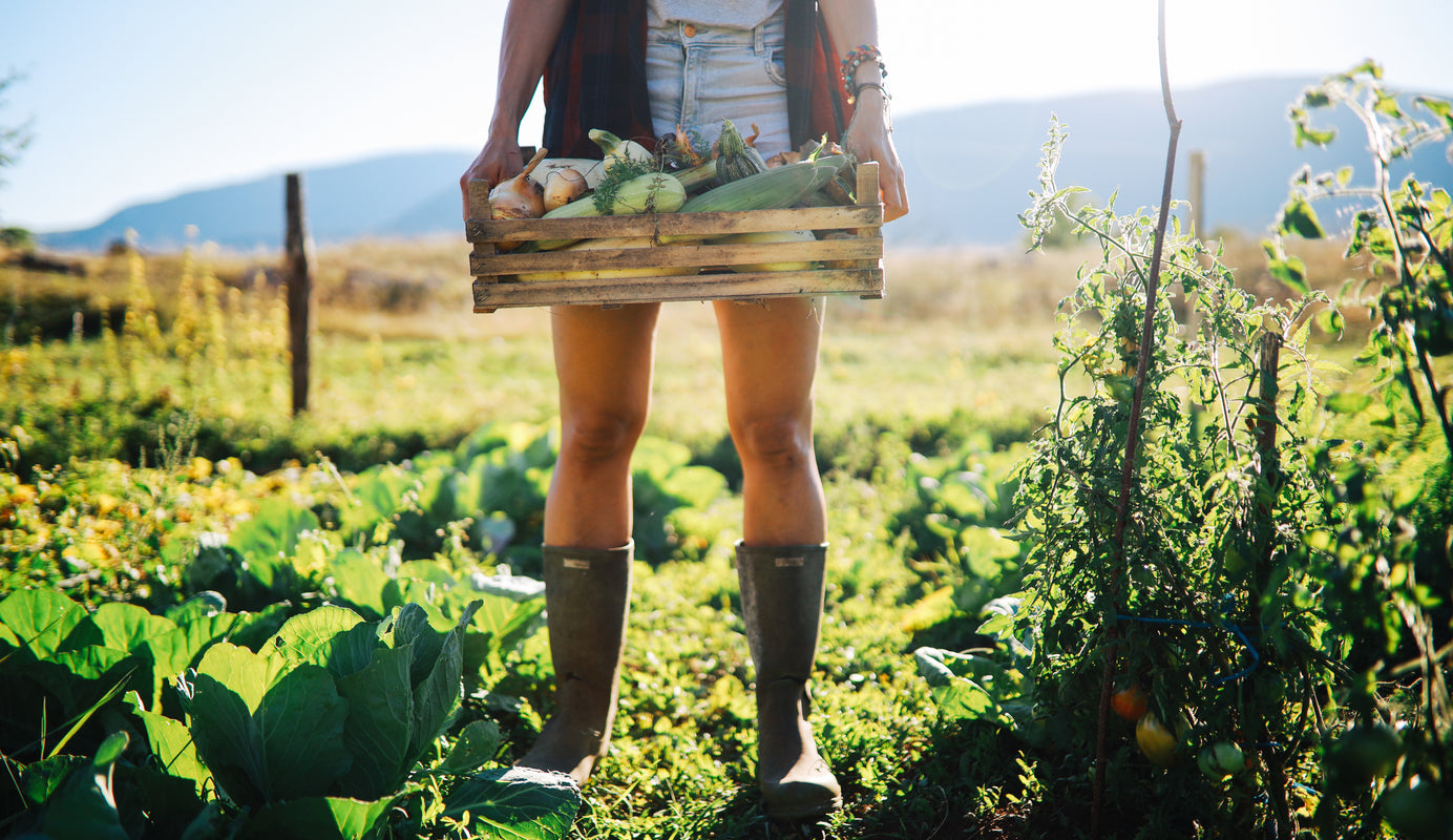 Stock up on superfoods