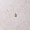 Pro Gut - Capsule Image